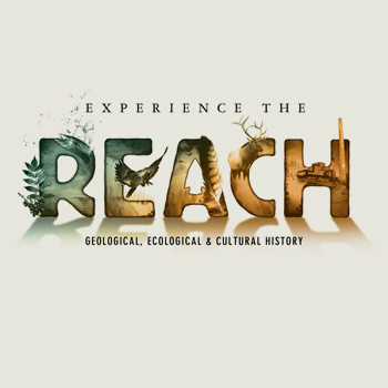 typography-REACH