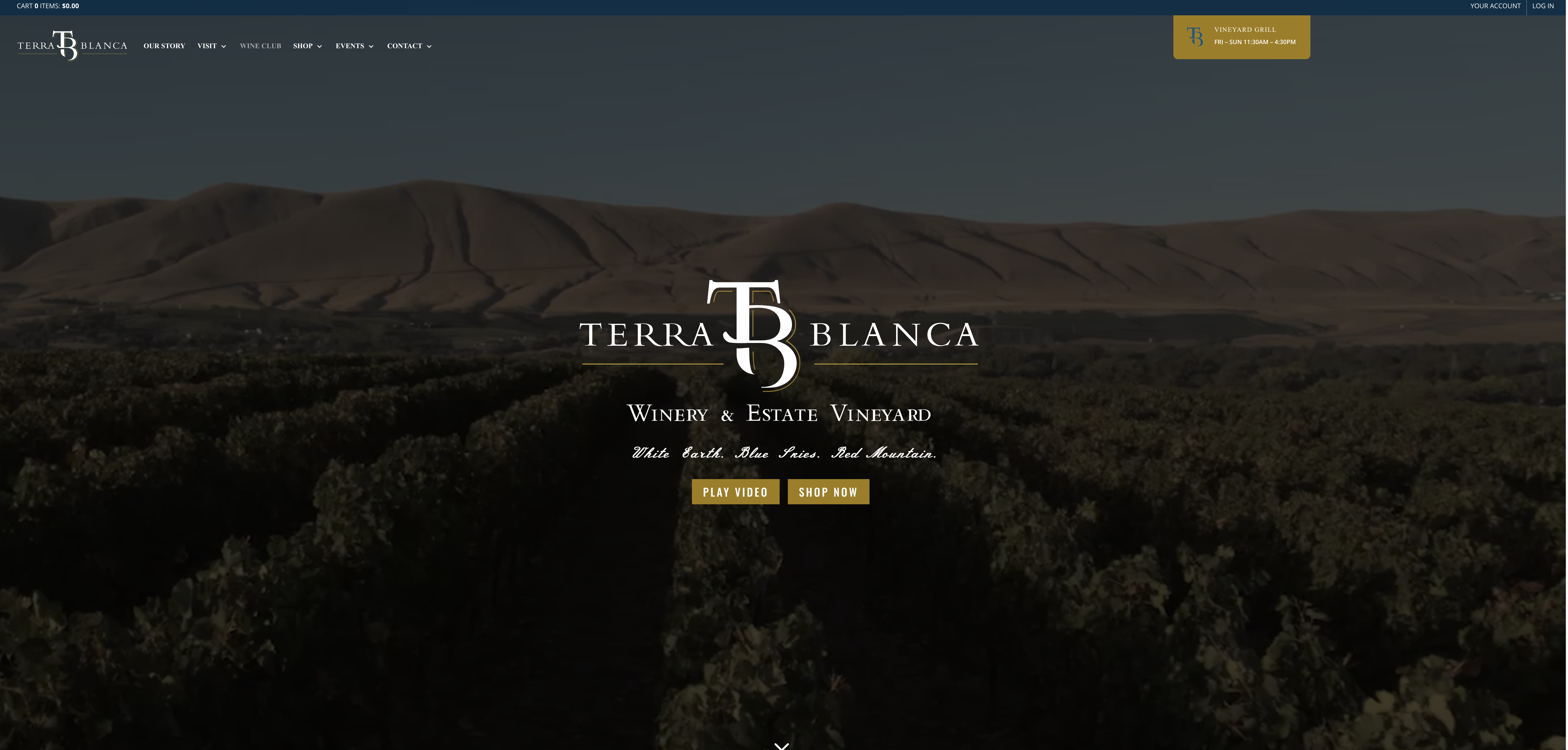Terra Blanca Web Design Sample